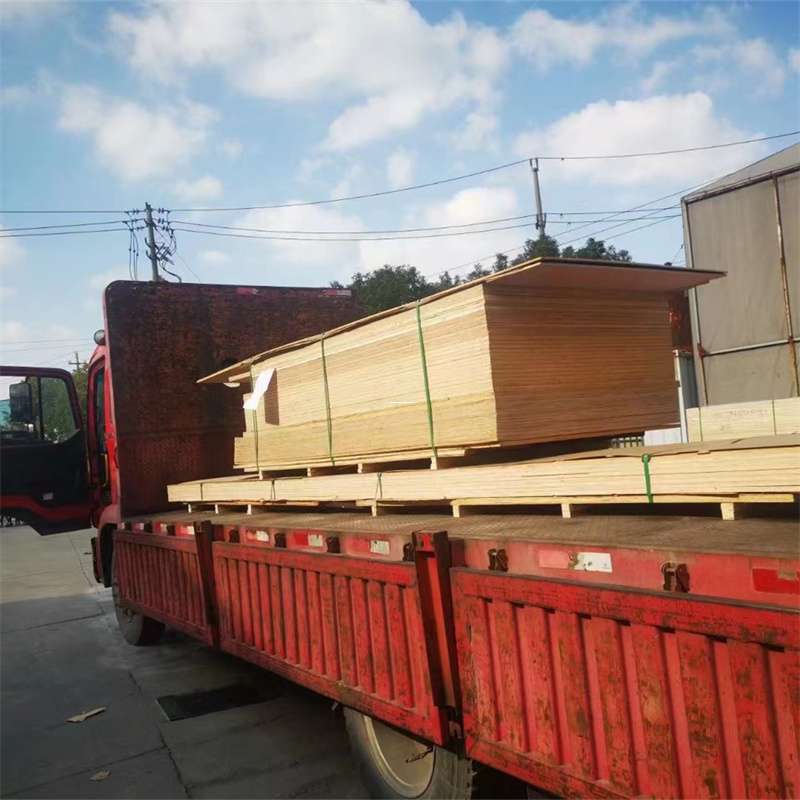 福建宁德寿宁县至塔城货运专线，一站式物流服务助您成功