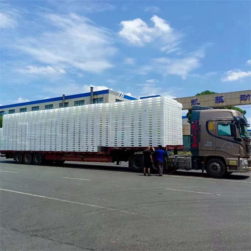 福建宁德寿宁县到滁州物流公司，专业运输服务为您保驾护航